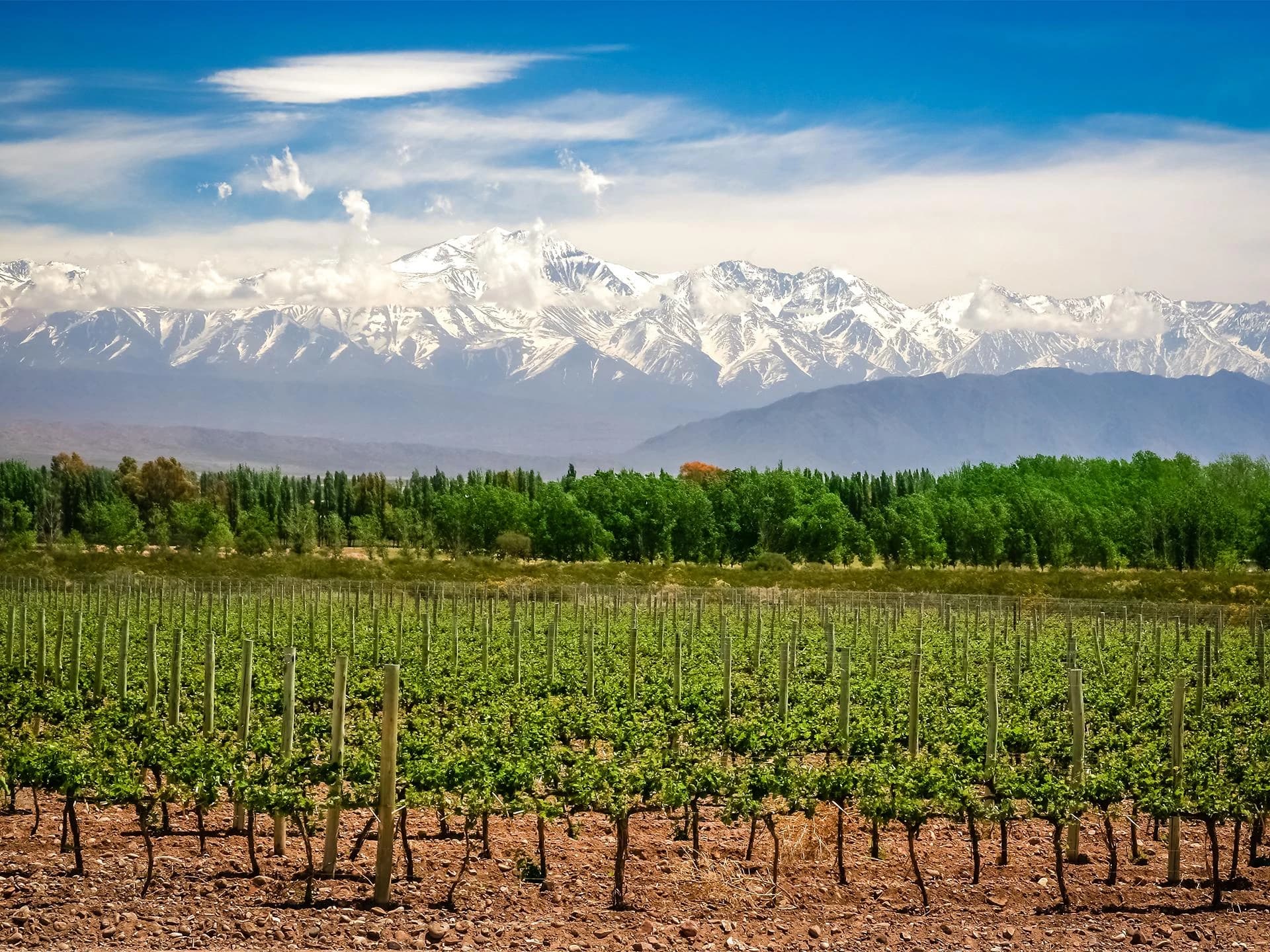 Destino Mendoza – Vinos y Montañas